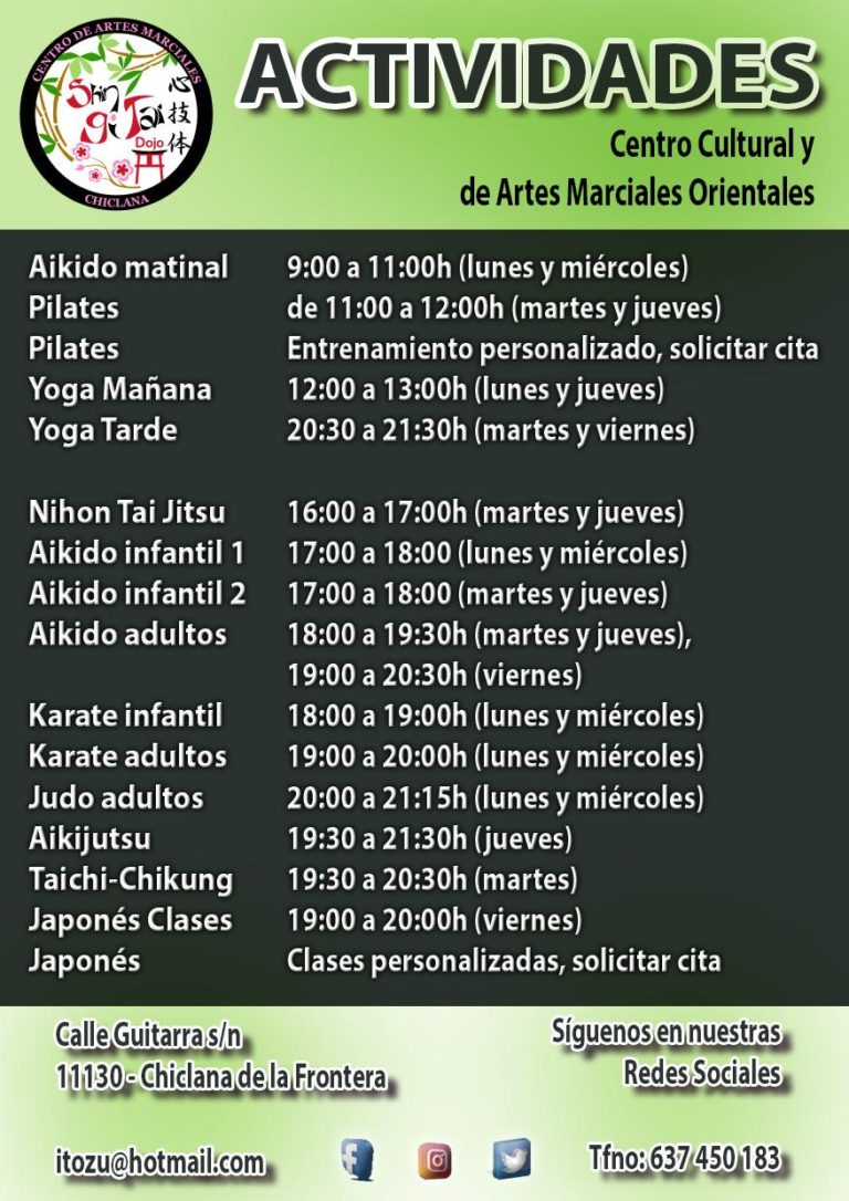 ShinGiTai Dojo Chiclana clases 2 768x1086