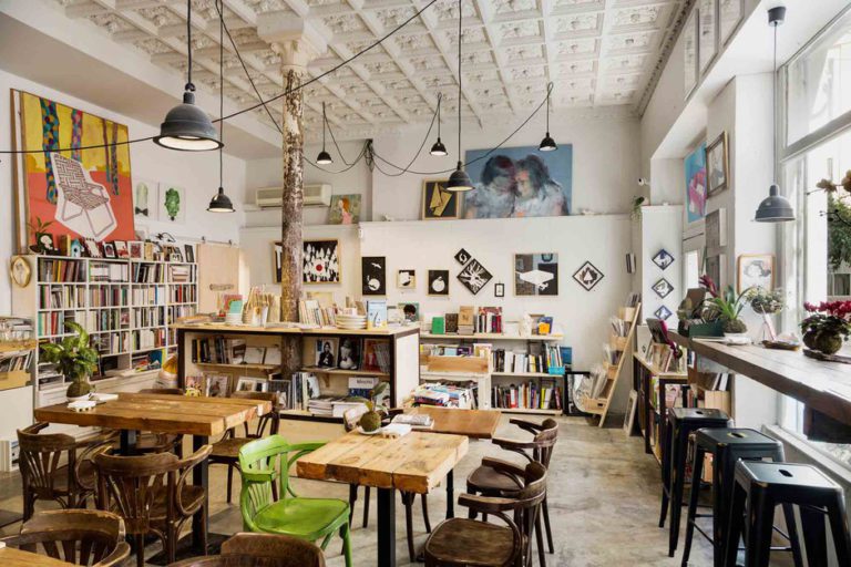 un gato en bicicleta sevilla 768x512