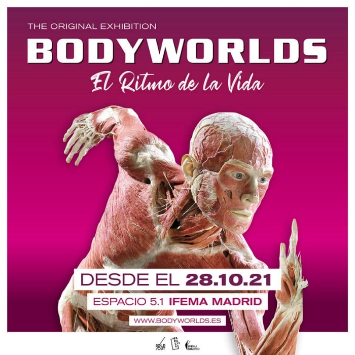 Exposición Body Worlds en Ifema Madrid