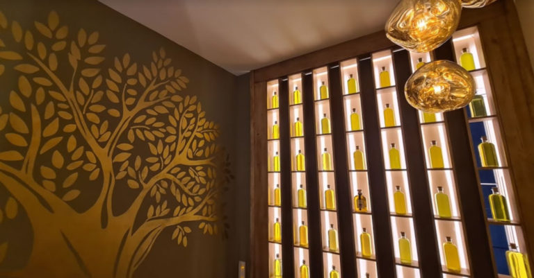 Alma de AOVE 5 768x401