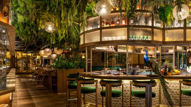 Amazonico Madrid 6 768x432