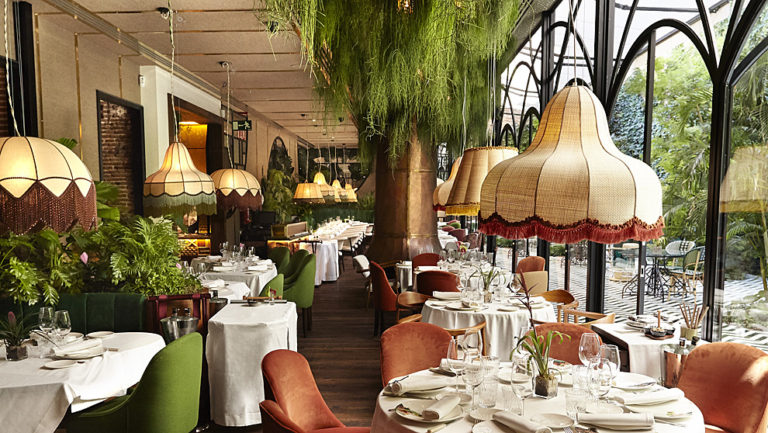 Amazonico Madrid 768x433