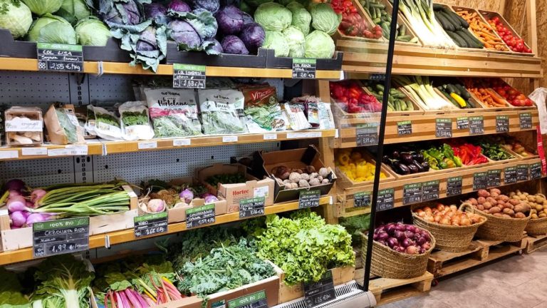 Espacio Organico 5 768x432