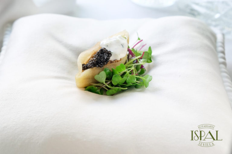 Ispal Sevilla 9 768x512