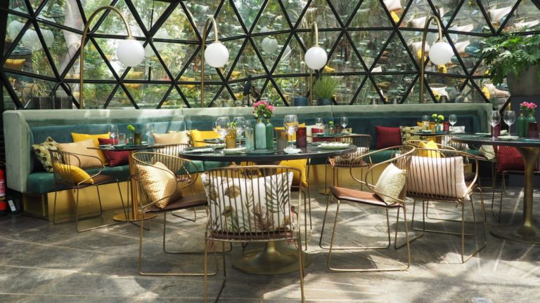 La Cupula de los Penotes 2 768x432