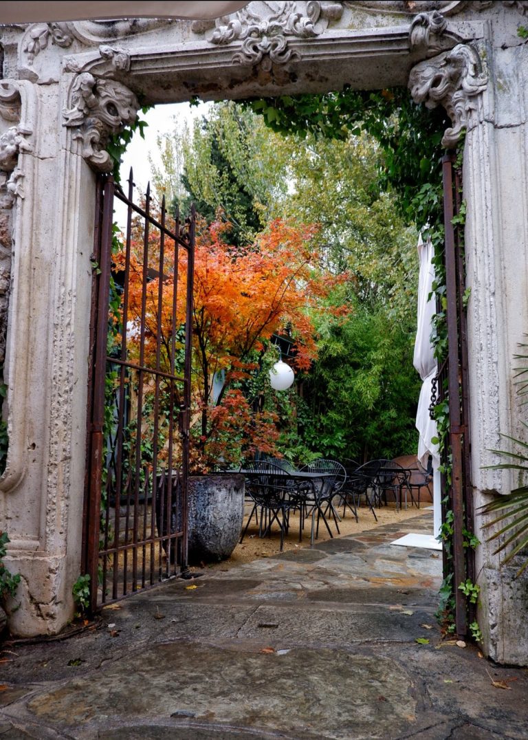 La Cupula de los Penotes 5 768x1076