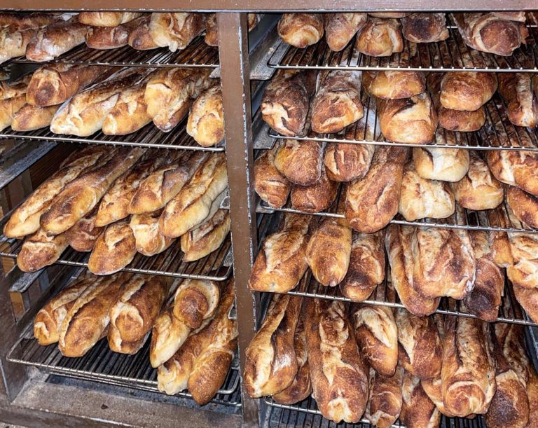 Obrador San Francisco 3 768x611