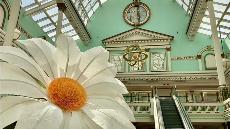 Centro Comercial Plaza Norte 2 2 768x432