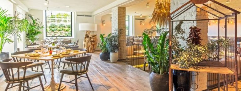 El Jardin de la Maquina Madrid 5 768x292