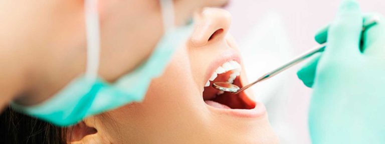 Elter Salud 5 768x288