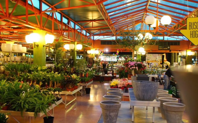 Los penotes 2 768x478