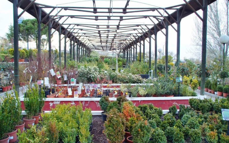 Los penotes 3 768x482