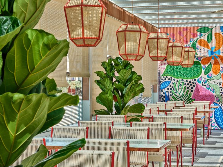 Torcuato Madrid 10 768x576