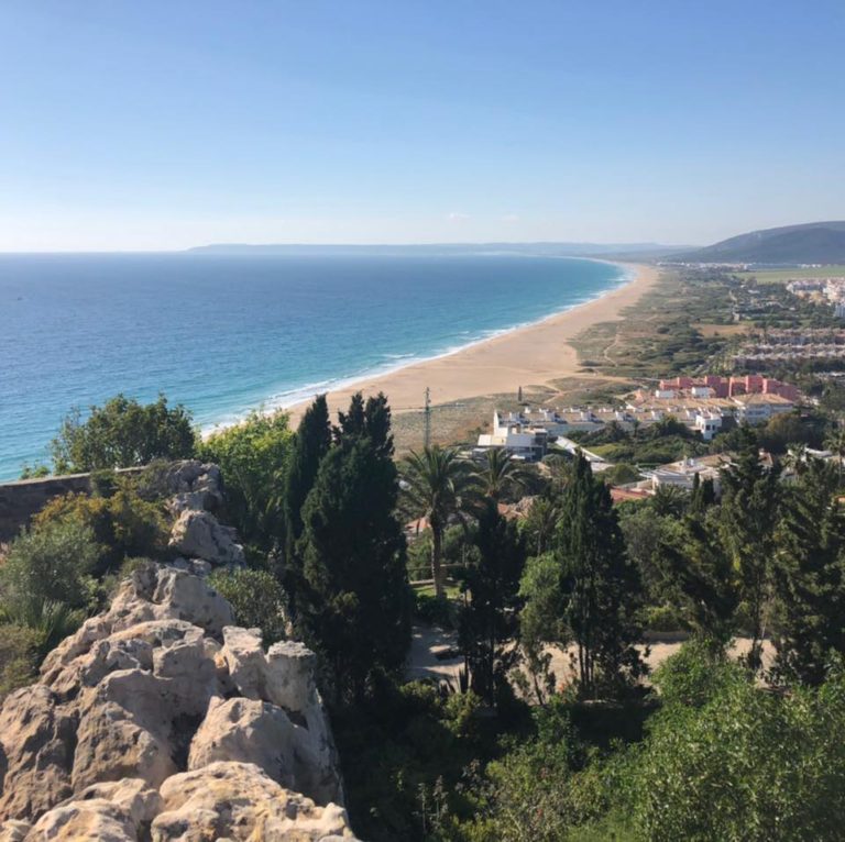 Zahara Inmobiliaria 2 768x766