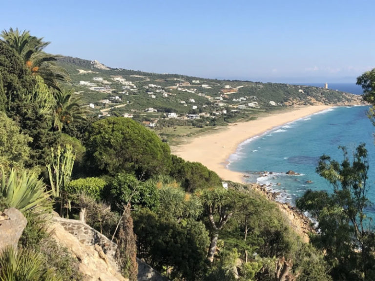 Zahara Inmobiliaria 3 768x576