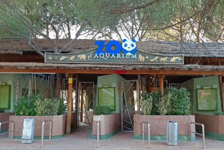 Zoo Aquarium de Madrid 2 768x516