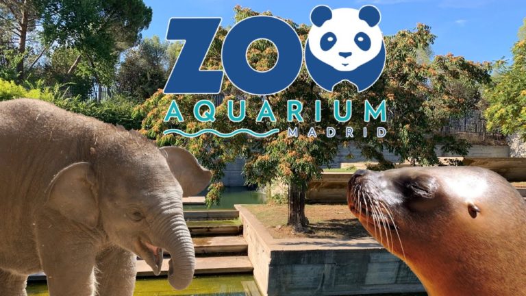 Zoo Aquarium de Madrid 768x432