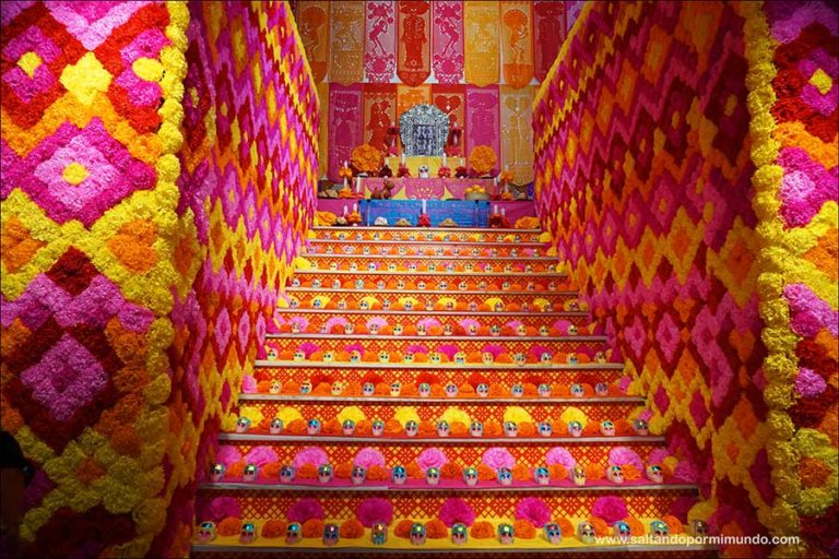 Casa de Mexico 4 768x512