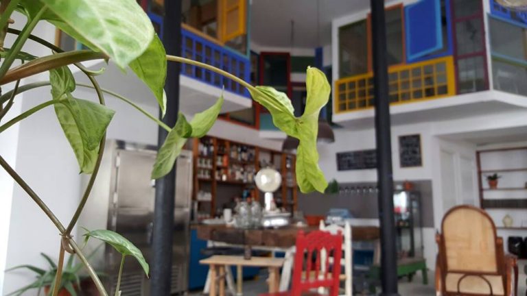 El Gallo Rojo 3 768x432