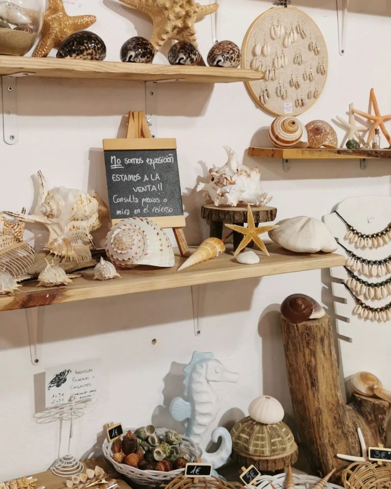 Entre vientos Conil 7 768x960