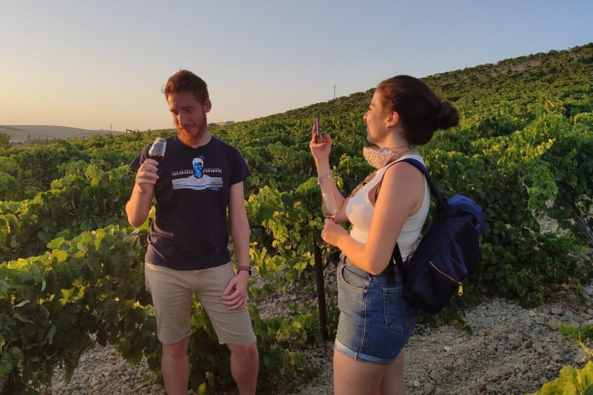 Visita entre Viñas, bodega y degustación de Vinos de Jerez
