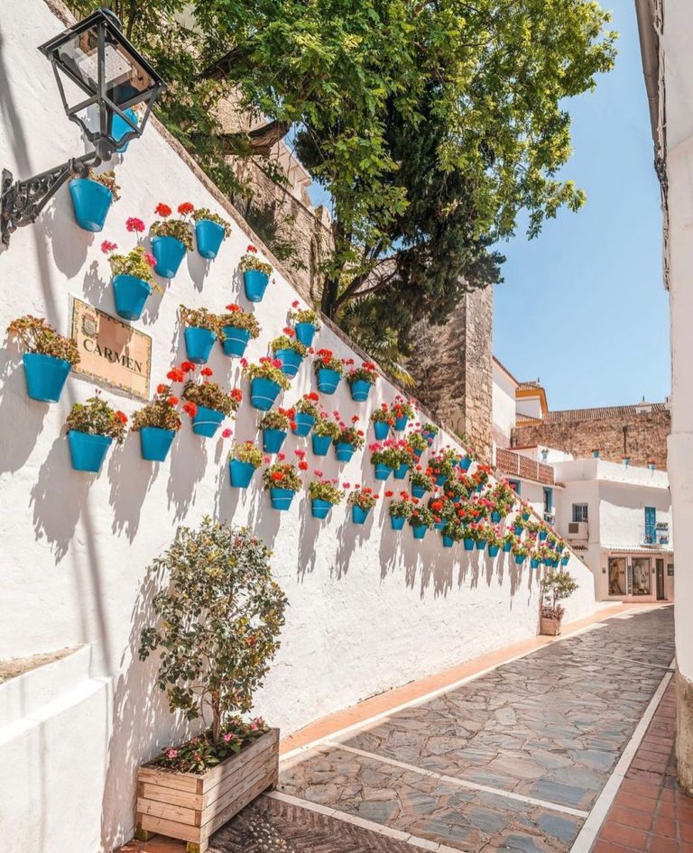 arias camison properties Marbella 2 768x946