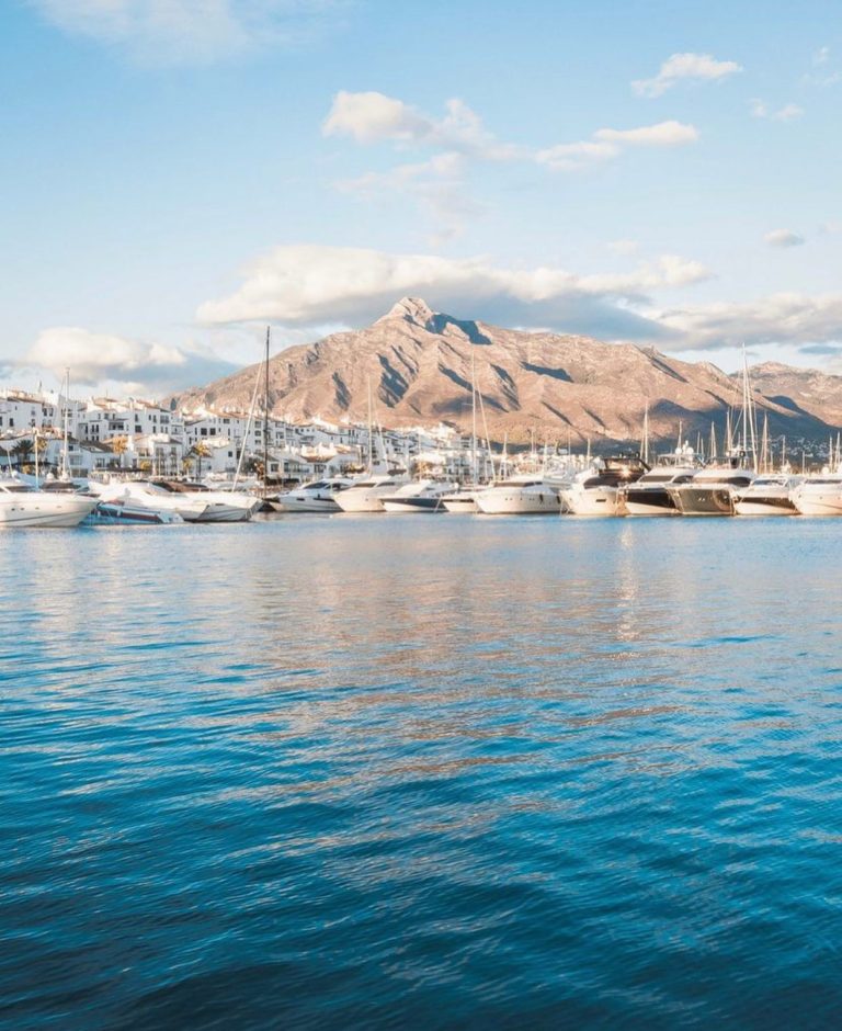 arias camison properties Marbella 3 768x940