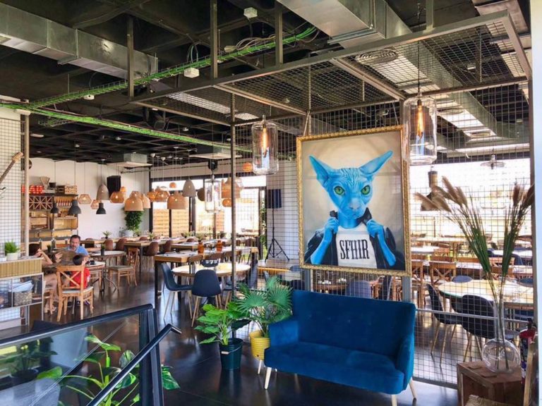 MediaVuelta The Rooftop 5 768x576