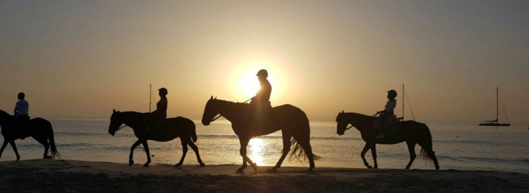 Paseo a caballo por las playas de Zahora – Barbate 3 768x280