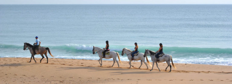 Paseo a caballo por las playas de Zahora – Barbate 4 768x280