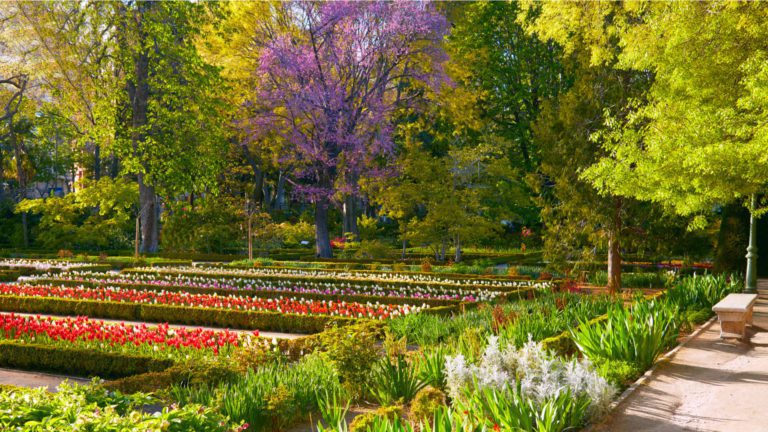 Real Jardin Botanico 4 768x432