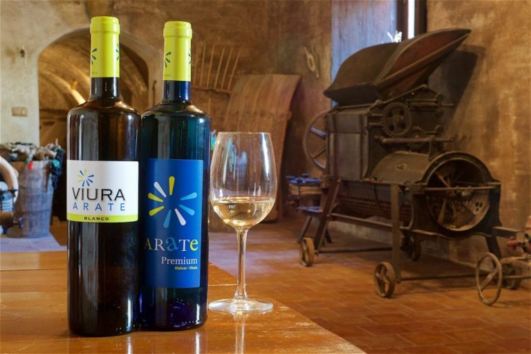 Visita a Bodega Museo del Vino y Cata en Bodegas Pablo Morate Valdelagua Madrid 2 768x512