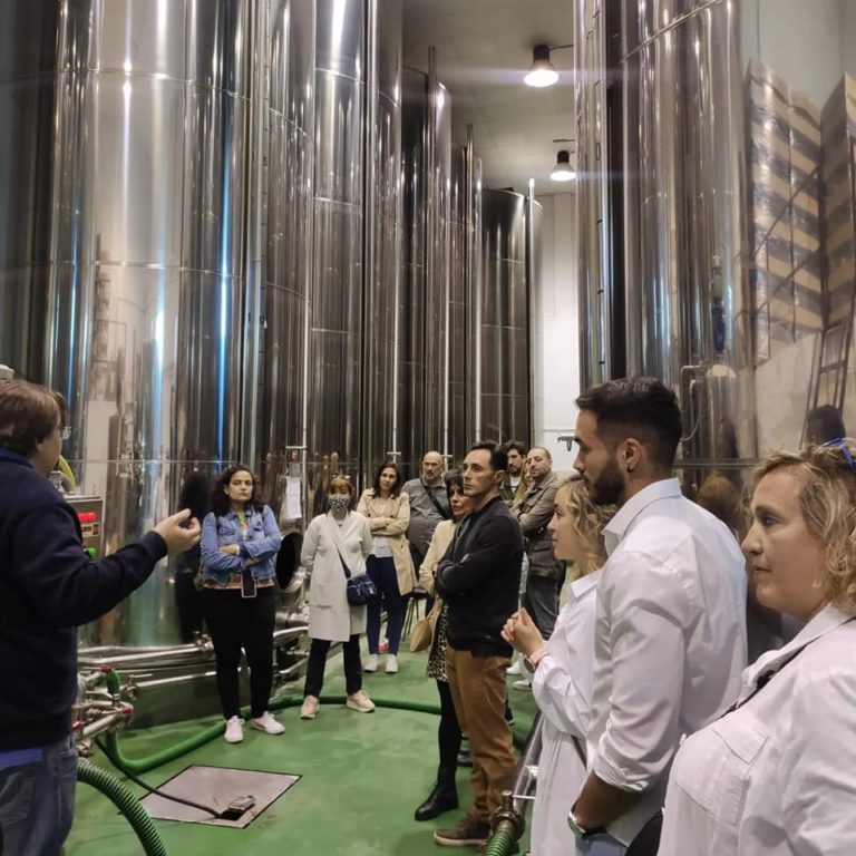 Visita a Bodega y Almazara cata de vinos y aceites con aperitivo en Villaconejos Madrid 2 768x768