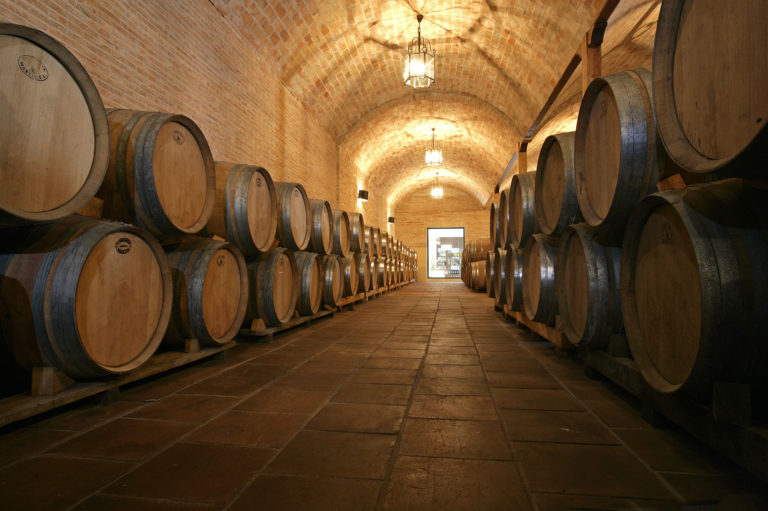 Visita a Bodega y Almazara cata de vinos y aceites con aperitivo en Villaconejos Madrid 4 768x511