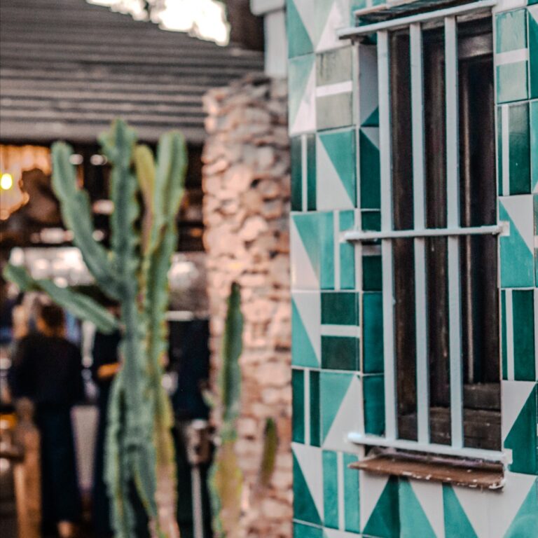 Dido El Palmar 2 768x768