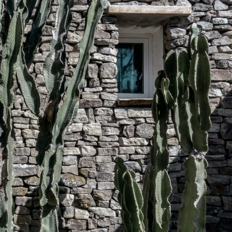 Dido El Palmar 7 768x768