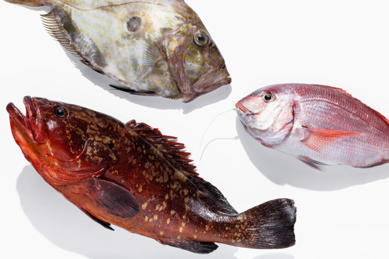 Restaurante Antonio Zahara 6 768x512