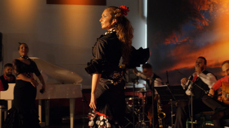 Show Flamenco Mi Caseta en el Recinto Ferial Estepona 3 768x432