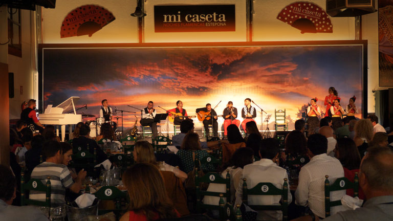 Show Flamenco Mi Caseta en el Recinto Ferial Estepona 4 768x432