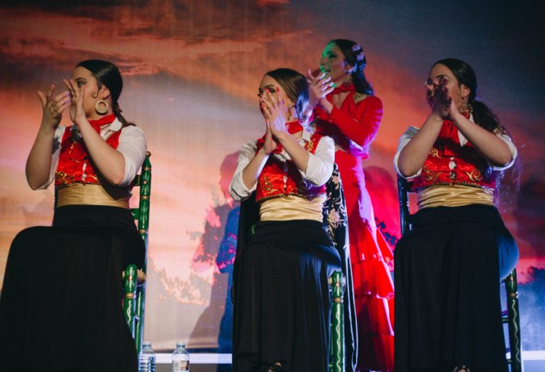 Show Flamenco Mi Caseta en el Recinto Ferial Estepona 6 768x524