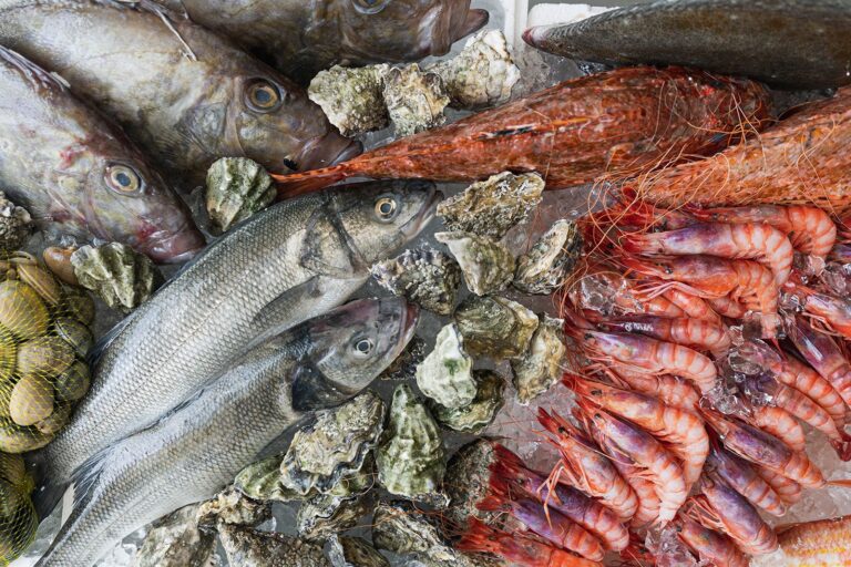 Cerveceria Mareantes 2 768x512