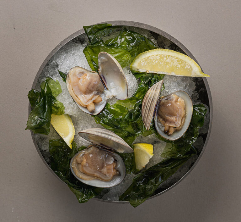 Cerveceria Mareantes Almejas 768x706