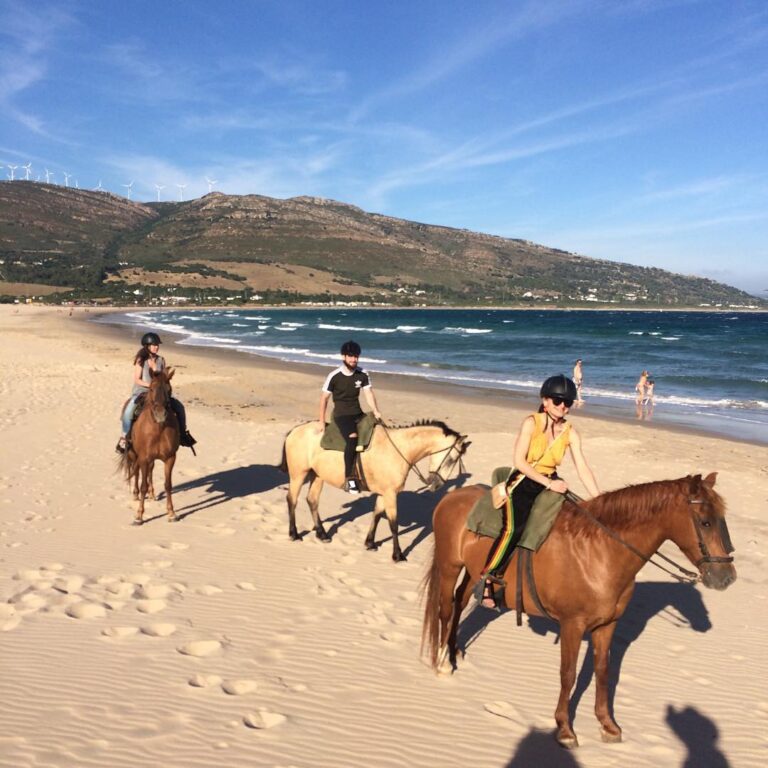 Rutas a Caballo Tarifa 6 768x768