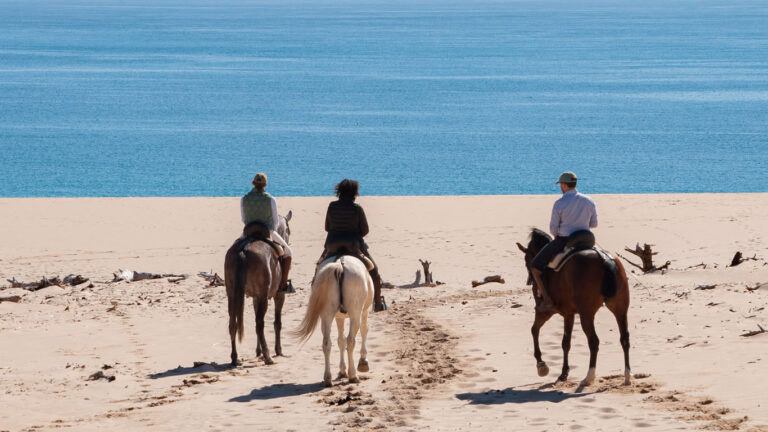 Rutas a Caballo Tarifa 768x432