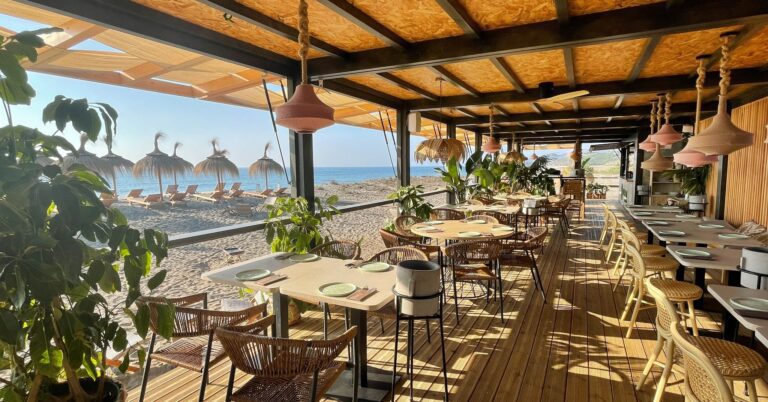 Sal Verde Arena Bar 768x402