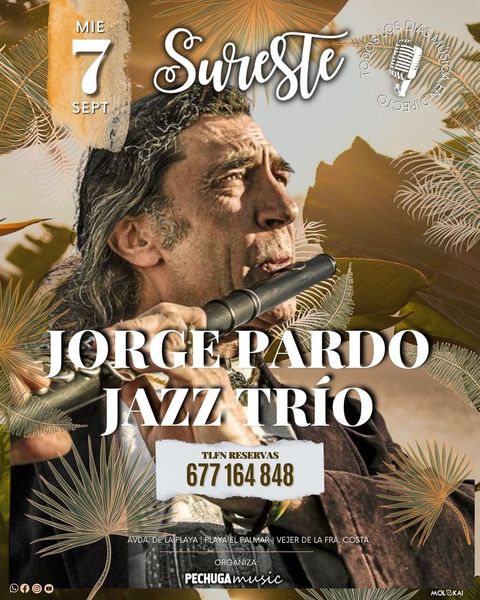 Actuación de Jorge Pardo Jazz Trio en Sureste El Palmar