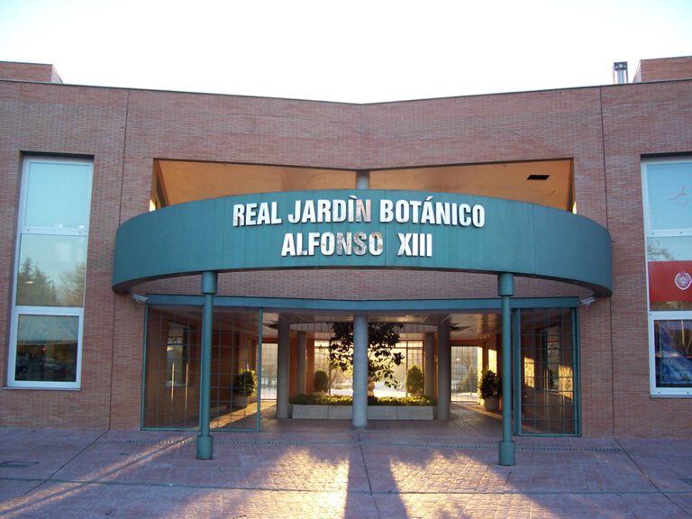 Real Jardin Botanico Alfonso XIII 768x576