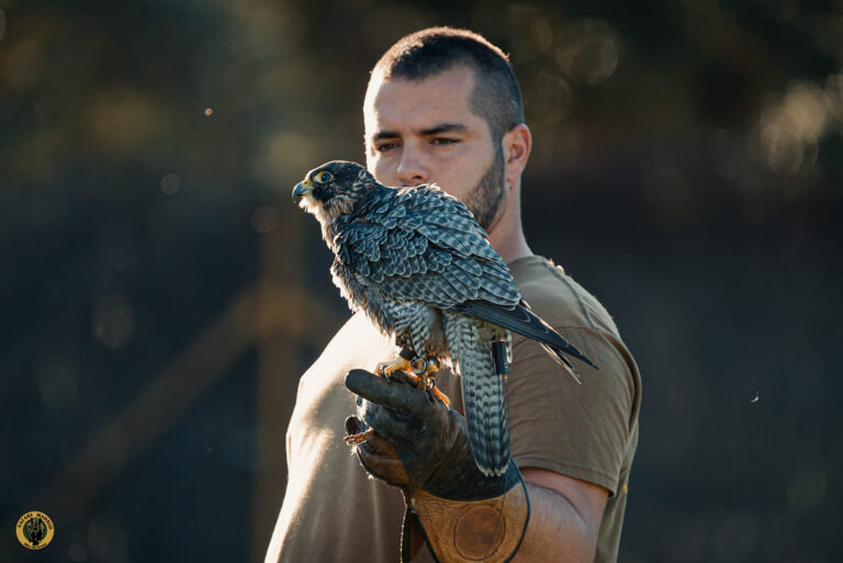 Safari Madrid 3 768x513