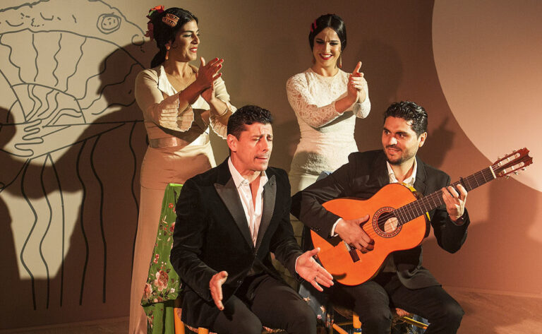 Centro Cultural Flamenco de Madrid 5 1 768x473