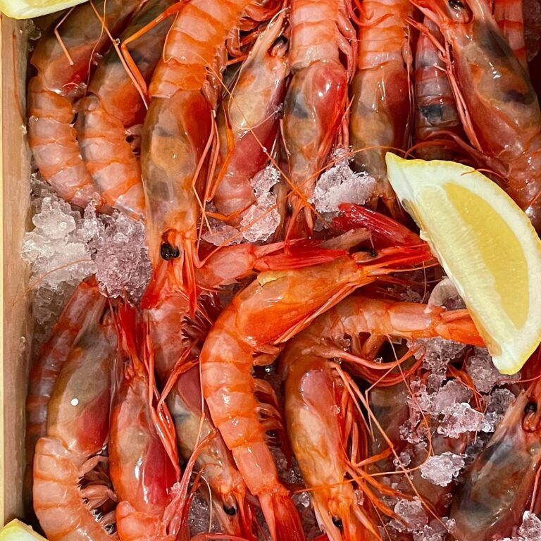 Cucurucho Bar 6 768x768